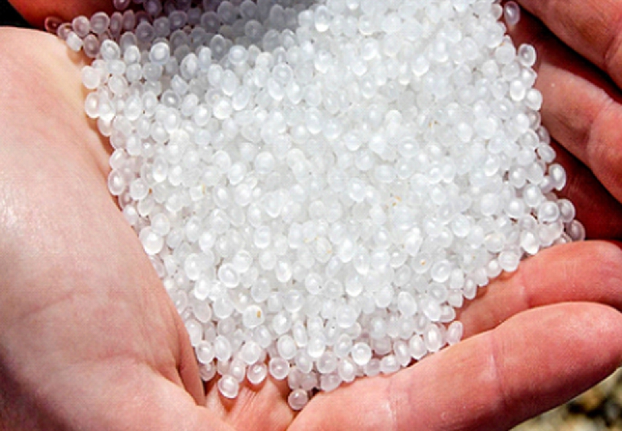 INTERNATIONAL INSPECTION